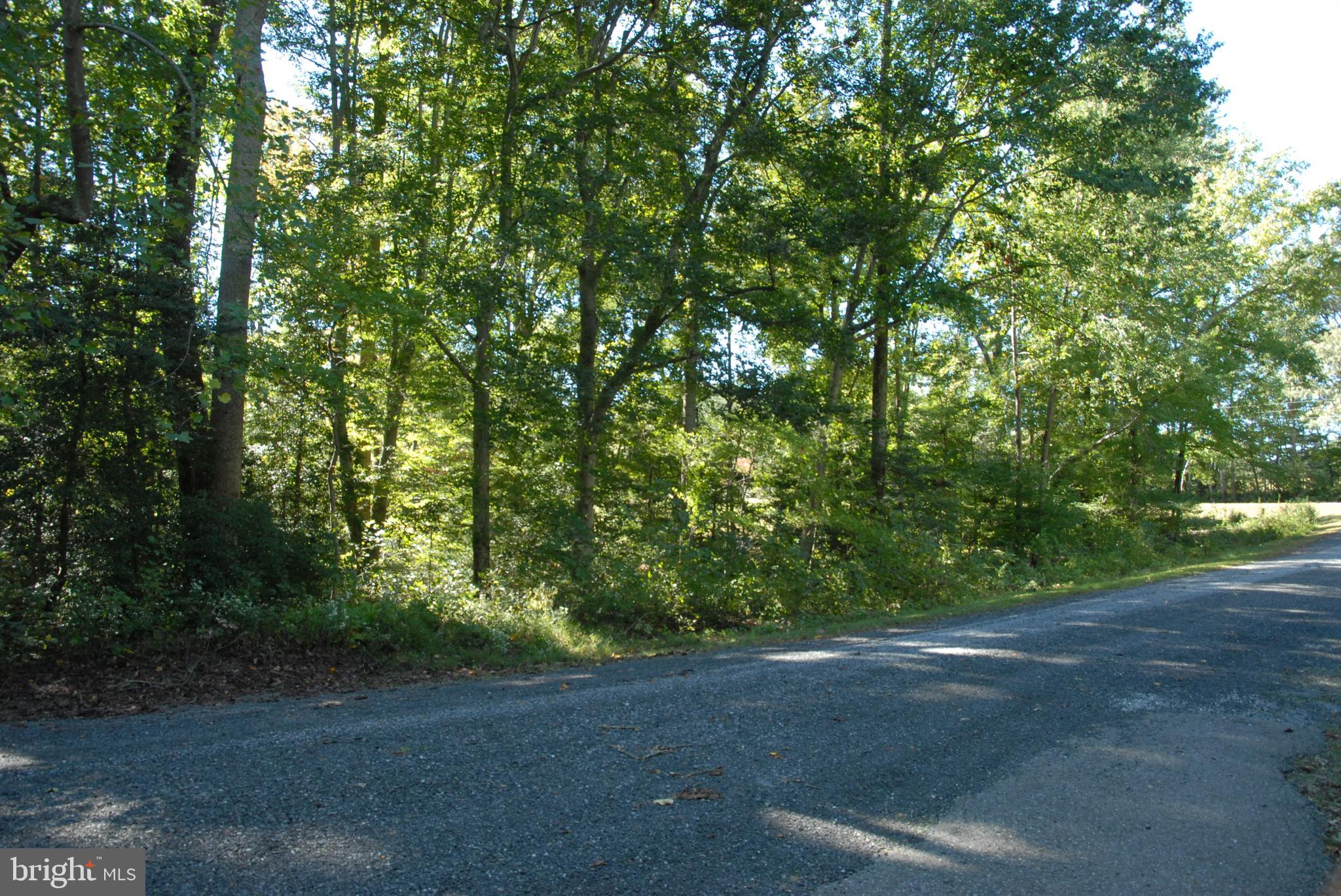 Lot 83 Commons Court Montross, VA 22520 - Photo 5 of 25 a view of a yard with a tree