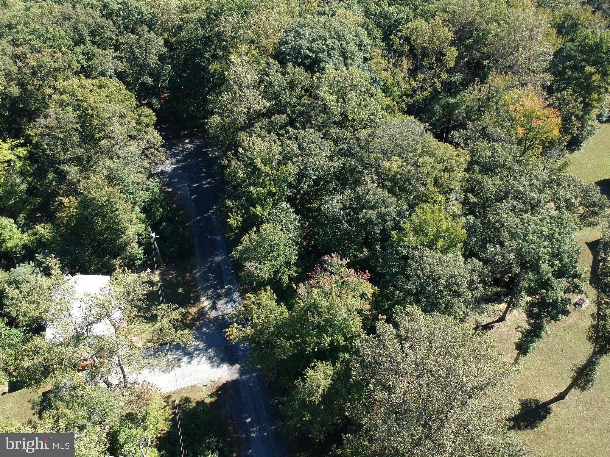 Lot 83 Commons Court Montross, VA 22520 - Photo 10 of 25 a view of a forest with a tree