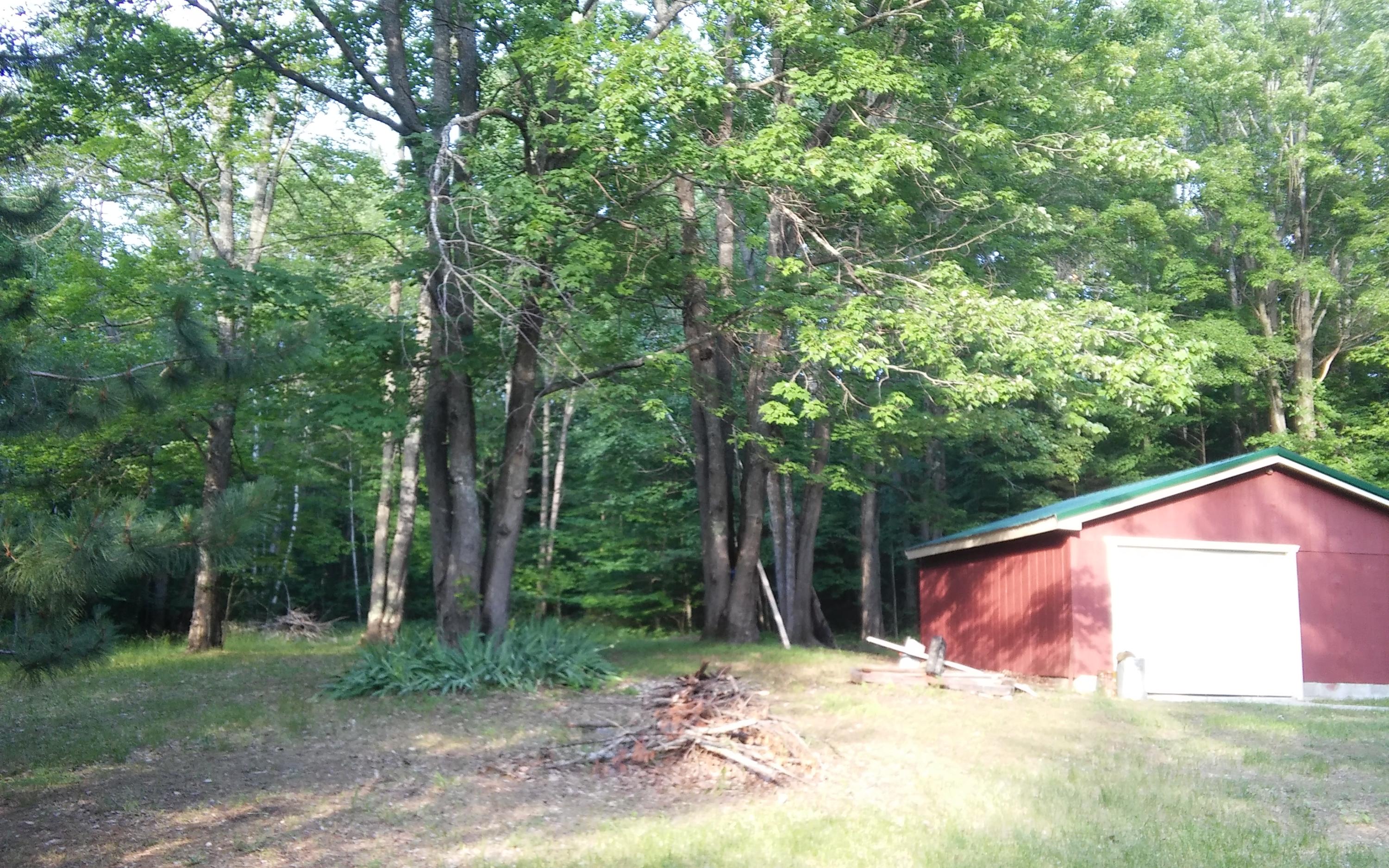 15239 Wurm Road Wolverine, MI 49799 - Photo 3 of 22 Gallery Image 3