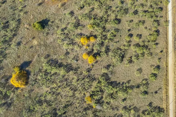 a close up of a plant in a bathroom