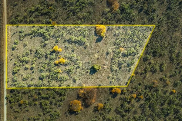 a view of a painting