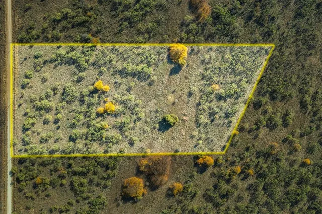 a view of a painting