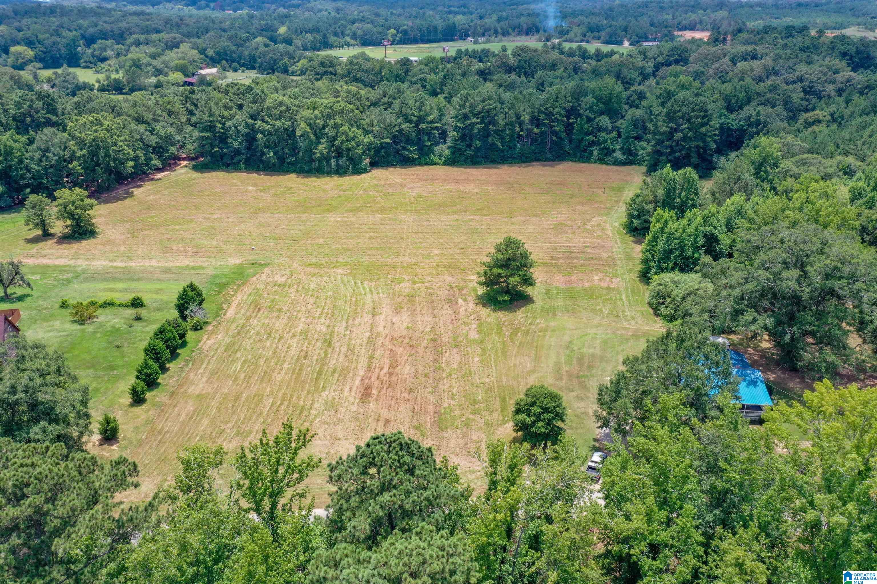 1675 Blue Eye Springs Road Lincoln, AL 35096 - Photo 3 of 60