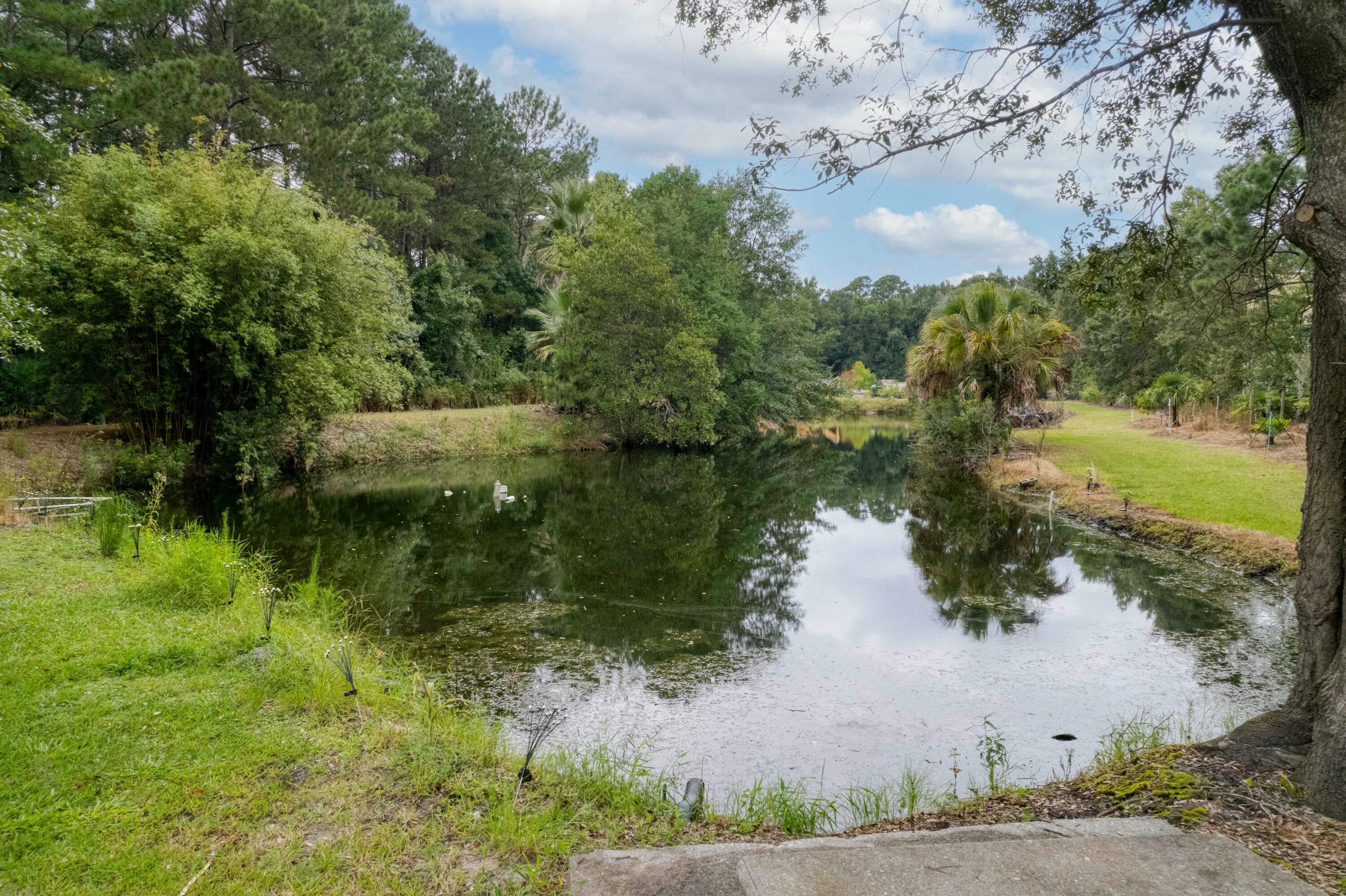 3034 Cane Slash Road Johns Island, SC 29455 - Photo 10 of 39 tempImageP2nMDS