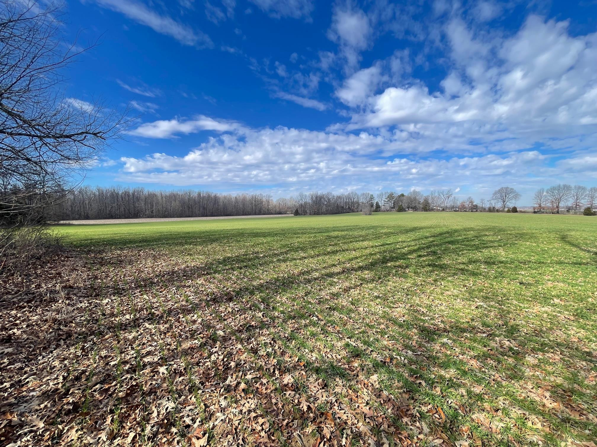 76 Neal Kinsy Road Trenton, TN 38382 - Photo 1 of 9 Photo 1