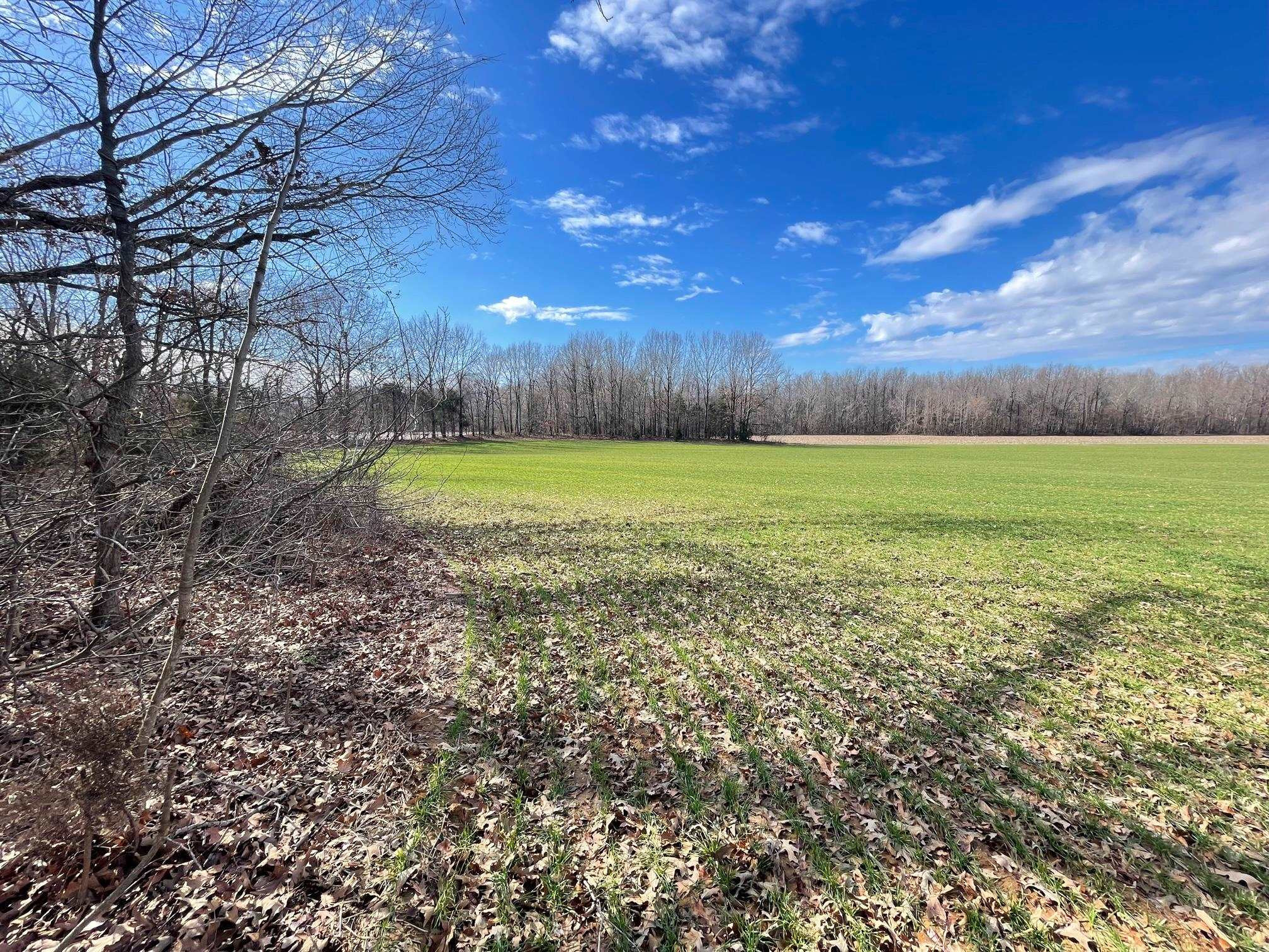 76 Neal Kinsy Road Trenton, TN 38382 - Photo 2 of 9 Photo 2