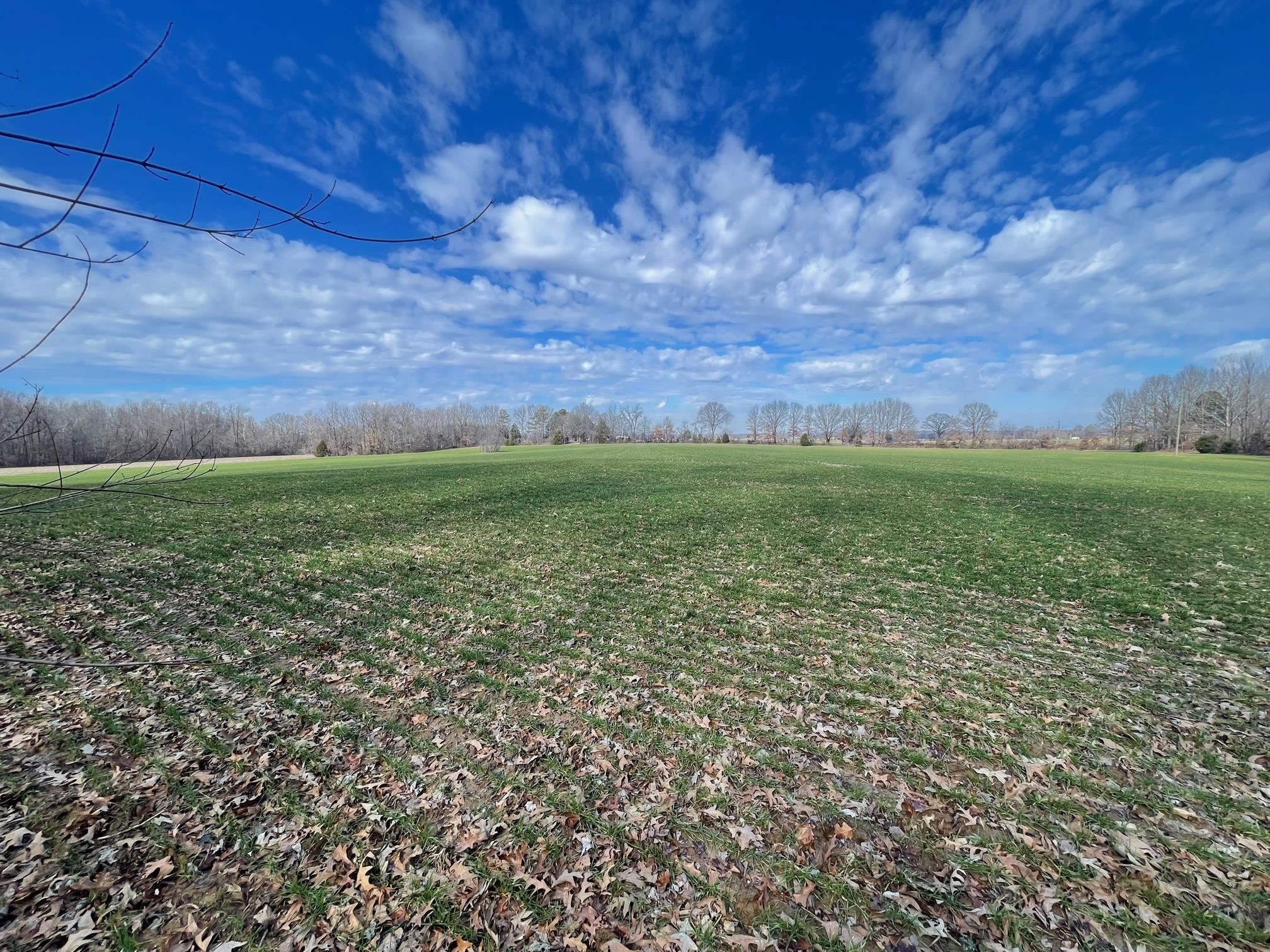 76 Neal Kinsy Road Trenton, TN 38382 - Photo 3 of 9 Photo 3