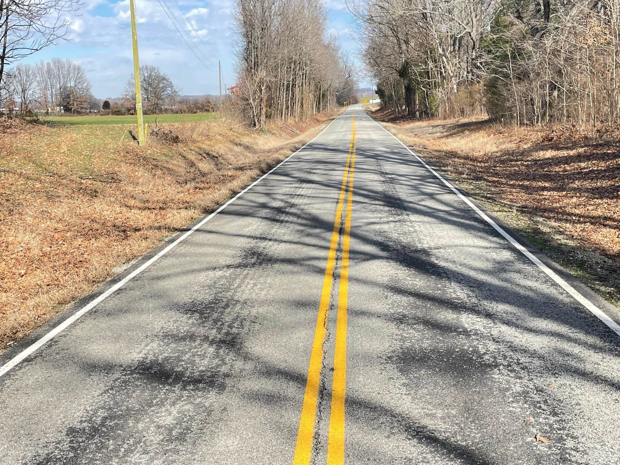 76 Neal Kinsy Road Trenton, TN 38382 - Photo 4 of 9 Photo 4