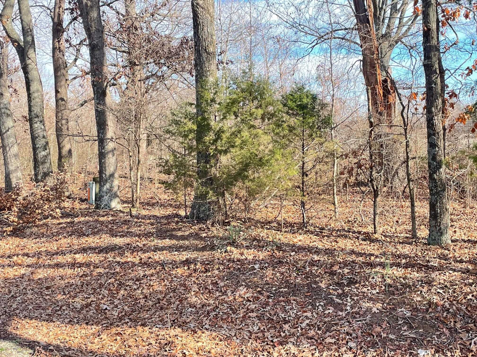 76 Neal Kinsy Road Trenton, TN 38382 - Photo 5 of 9 Photo 5