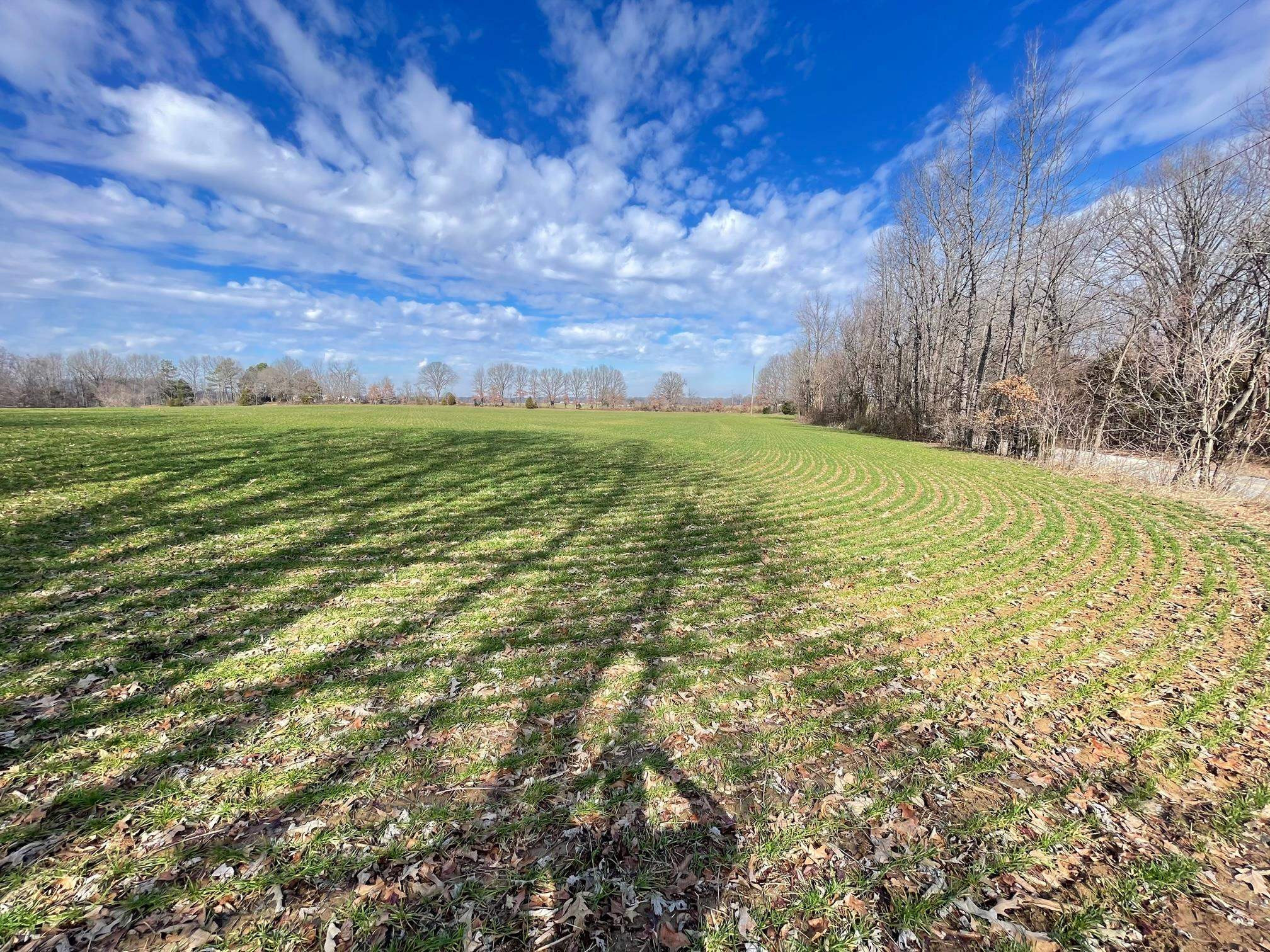76 Neal Kinsy Road Trenton, TN 38382 - Photo 6 of 9 Photo 6