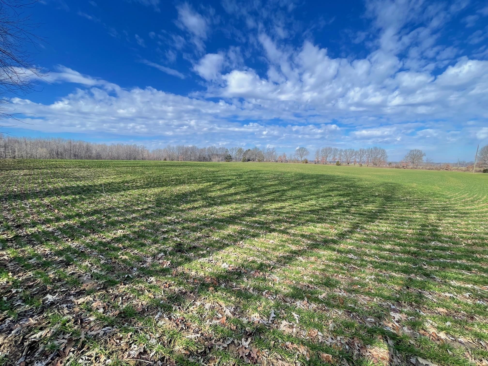 76 Neal Kinsy Road Trenton, TN 38382 - Photo 7 of 9 Photo 7