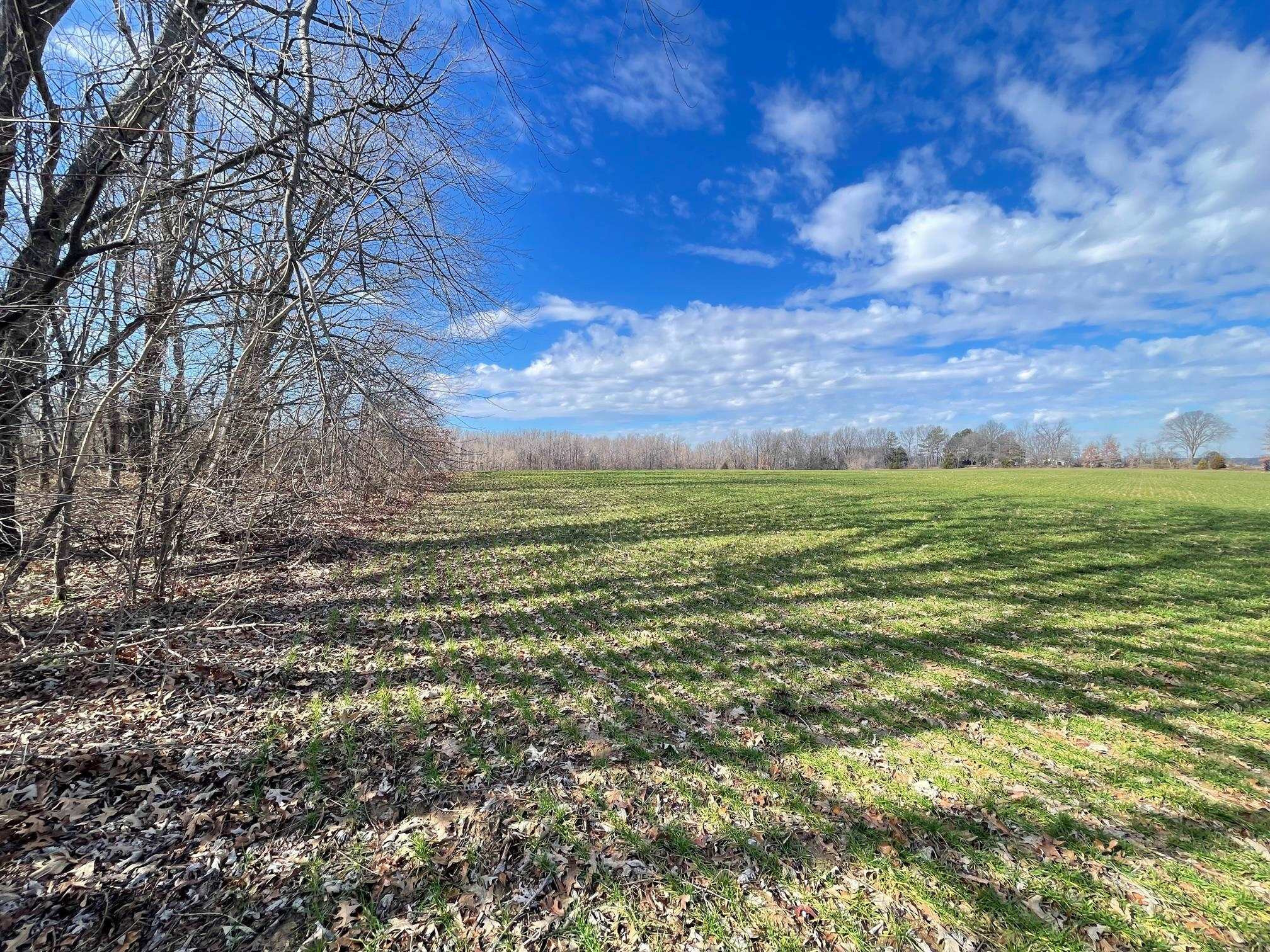 76 Neal Kinsy Road Trenton, TN 38382 - Photo 8 of 9 Photo 8