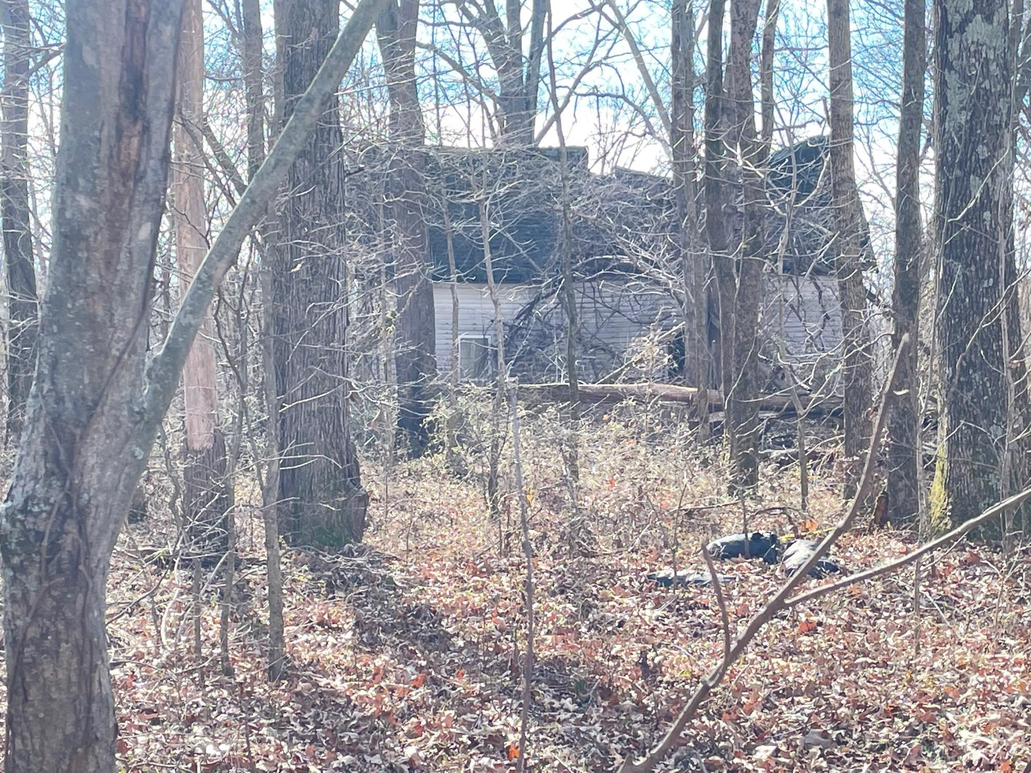 76 Neal Kinsy Road Trenton, TN 38382 - Photo 9 of 9 Photo 9