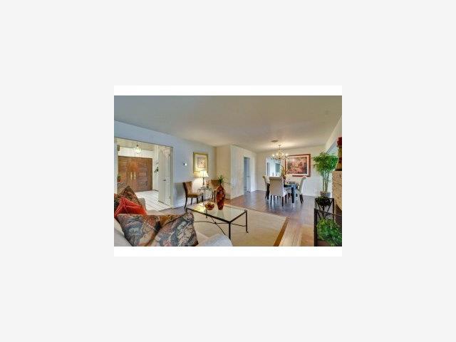 754 Filip Road Los Altos, CA 94024 - Photo 5 of 9 Gallery Image 5