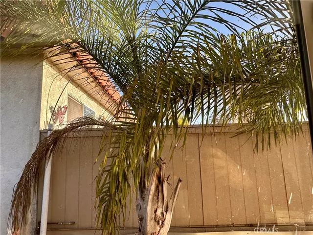 a view of a yard with wooden fence
