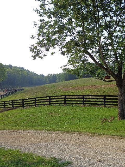 374 Goodpaster Cemetary Road Owingsville, KY 40360 - Photo 35 of 39 Photo 35
