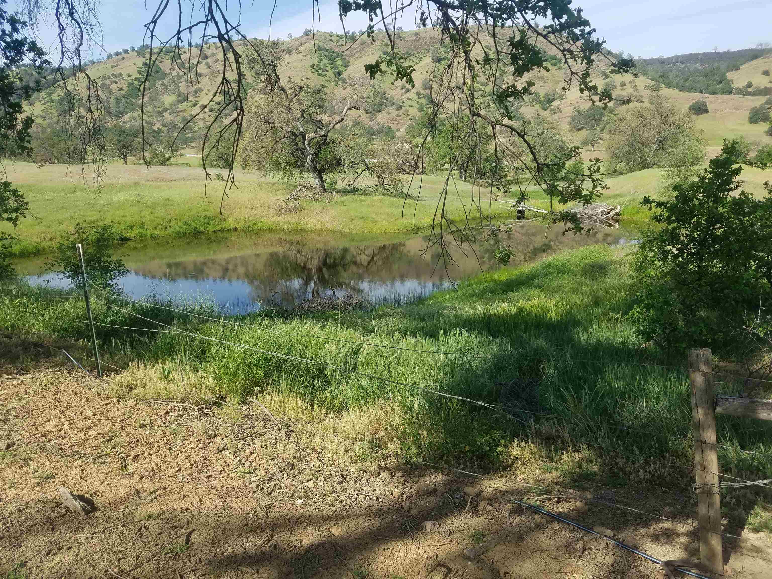 0 High Flat Road Red Bluff, CA 96080 - Photo 2 of 15