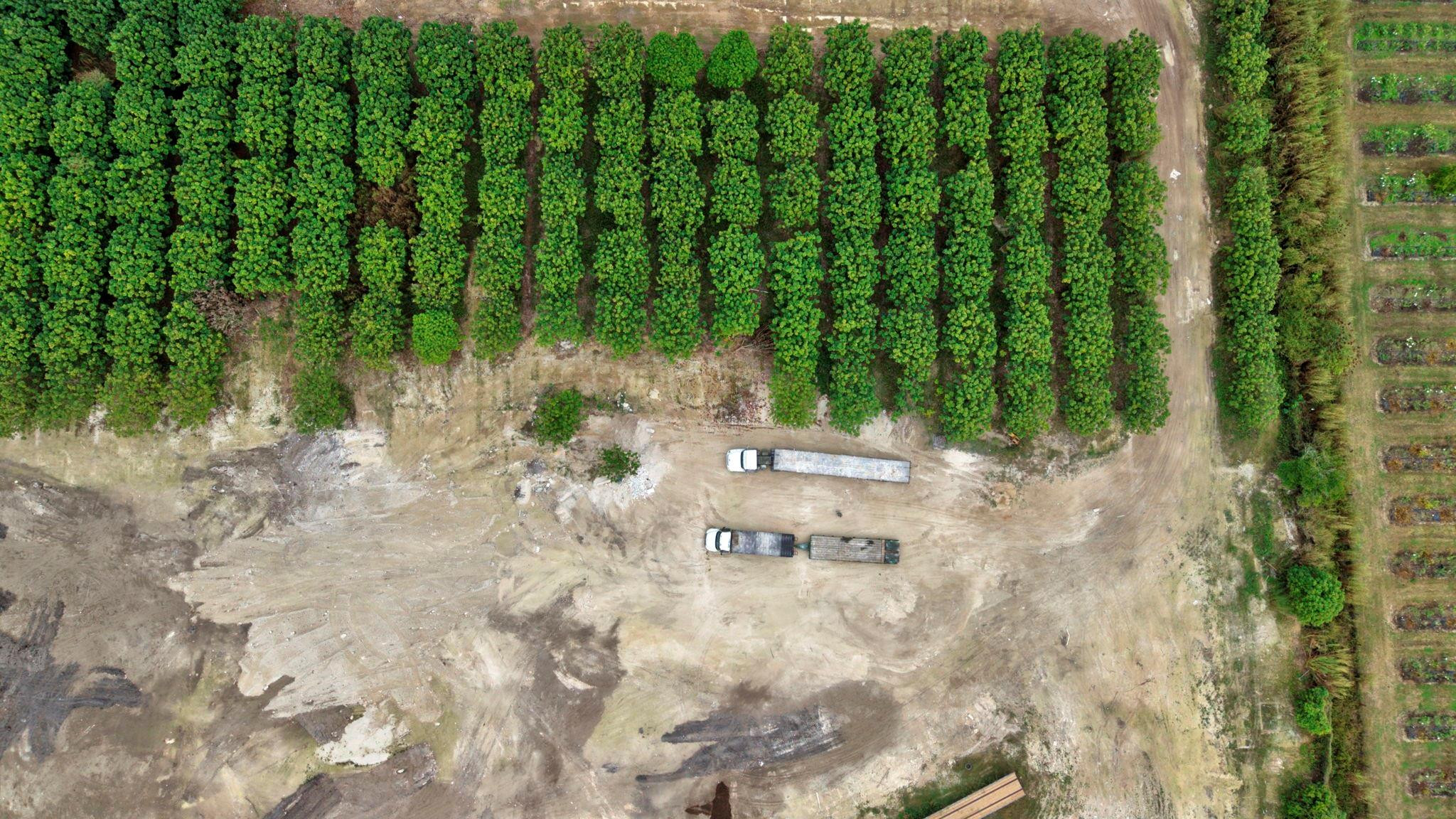 Southwest 212th Avenue Homestead, FL 33030 - Photo 11 of 27 Photo 11