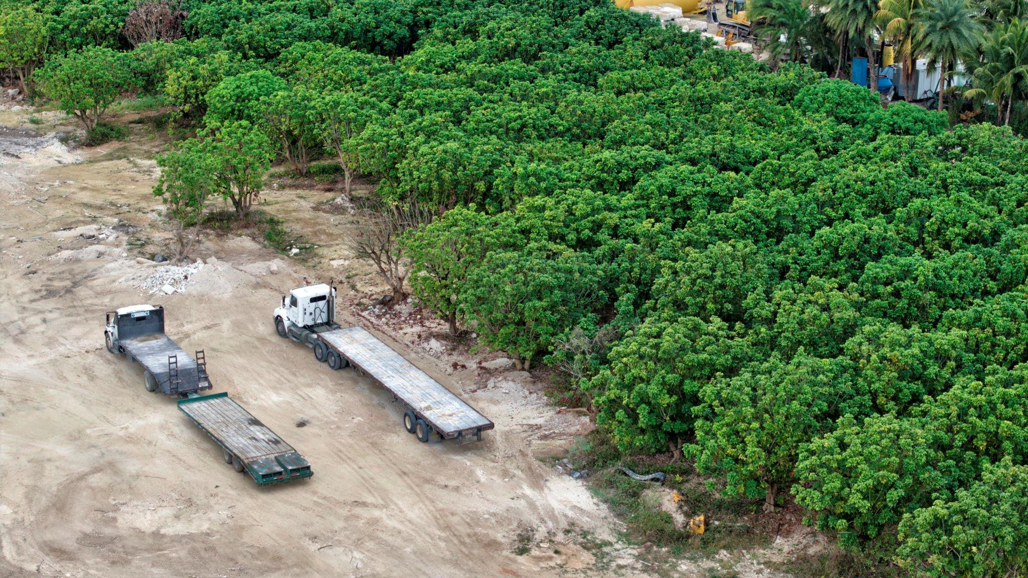Southwest 212th Avenue Homestead, FL 33030 - Photo 15 of 27 Photo 15