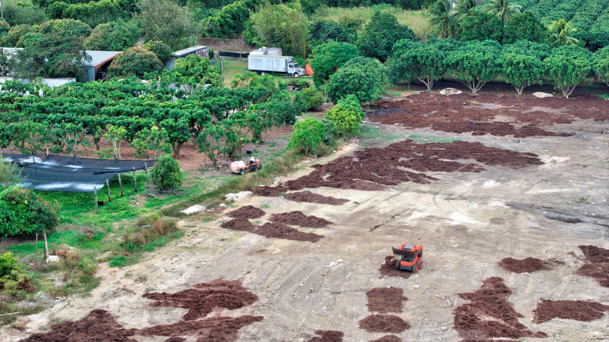 Southwest 212th Avenue Homestead, FL 33030 - Photo 16 of 27 Photo 16