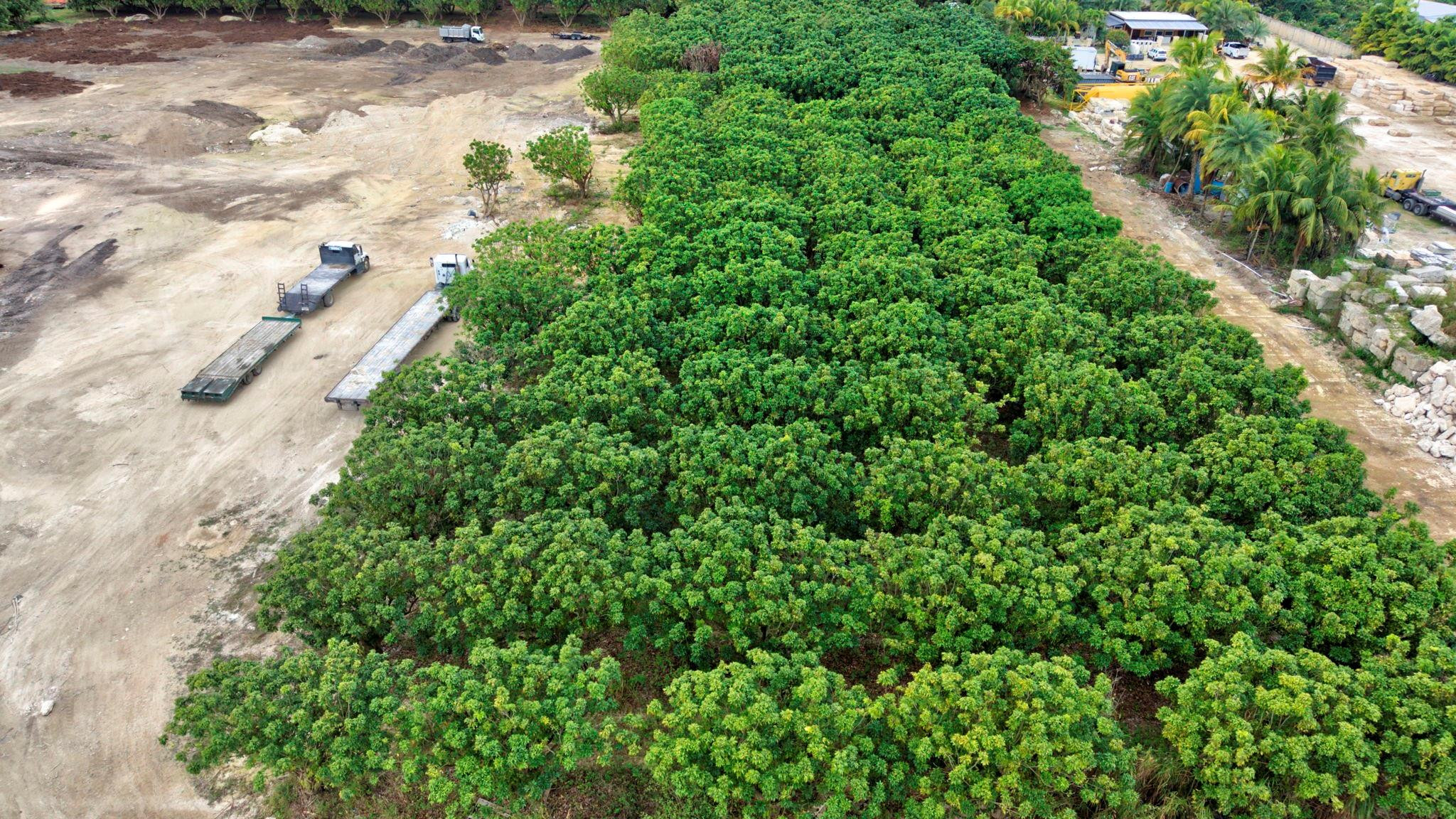 Southwest 212th Avenue Homestead, FL 33030 - Photo 18 of 27 Photo 18