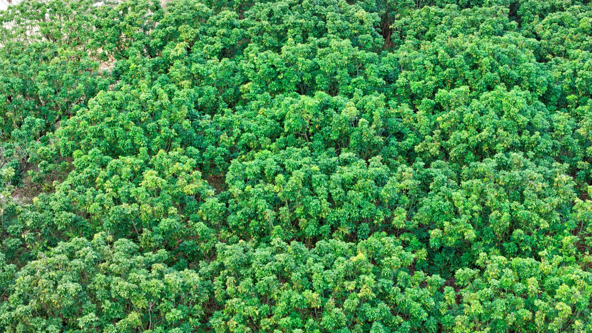 Southwest 212th Avenue Homestead, FL 33030 - Photo 19 of 27 Photo 19