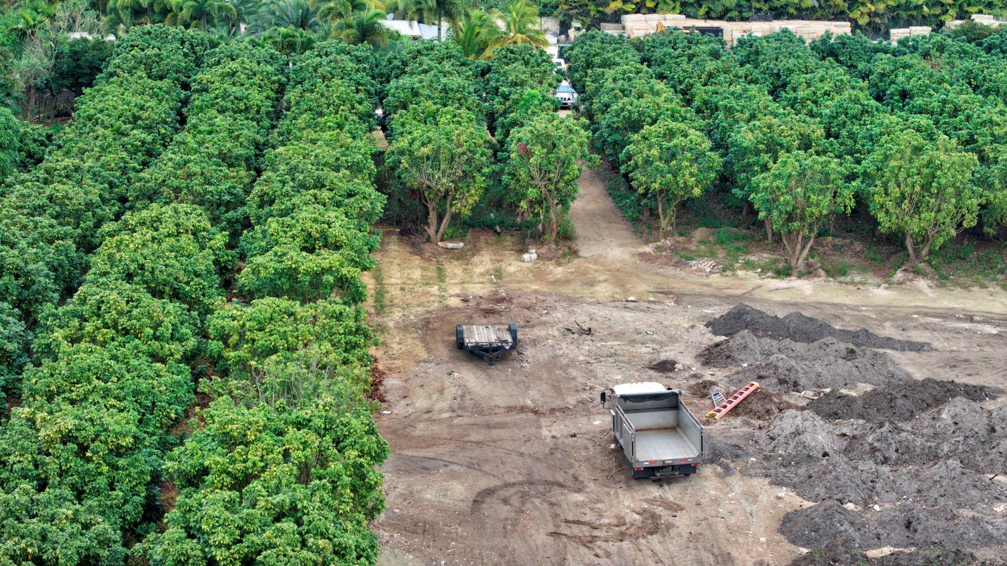 Southwest 212th Avenue Homestead, FL 33030 - Photo 26 of 27 Photo 26