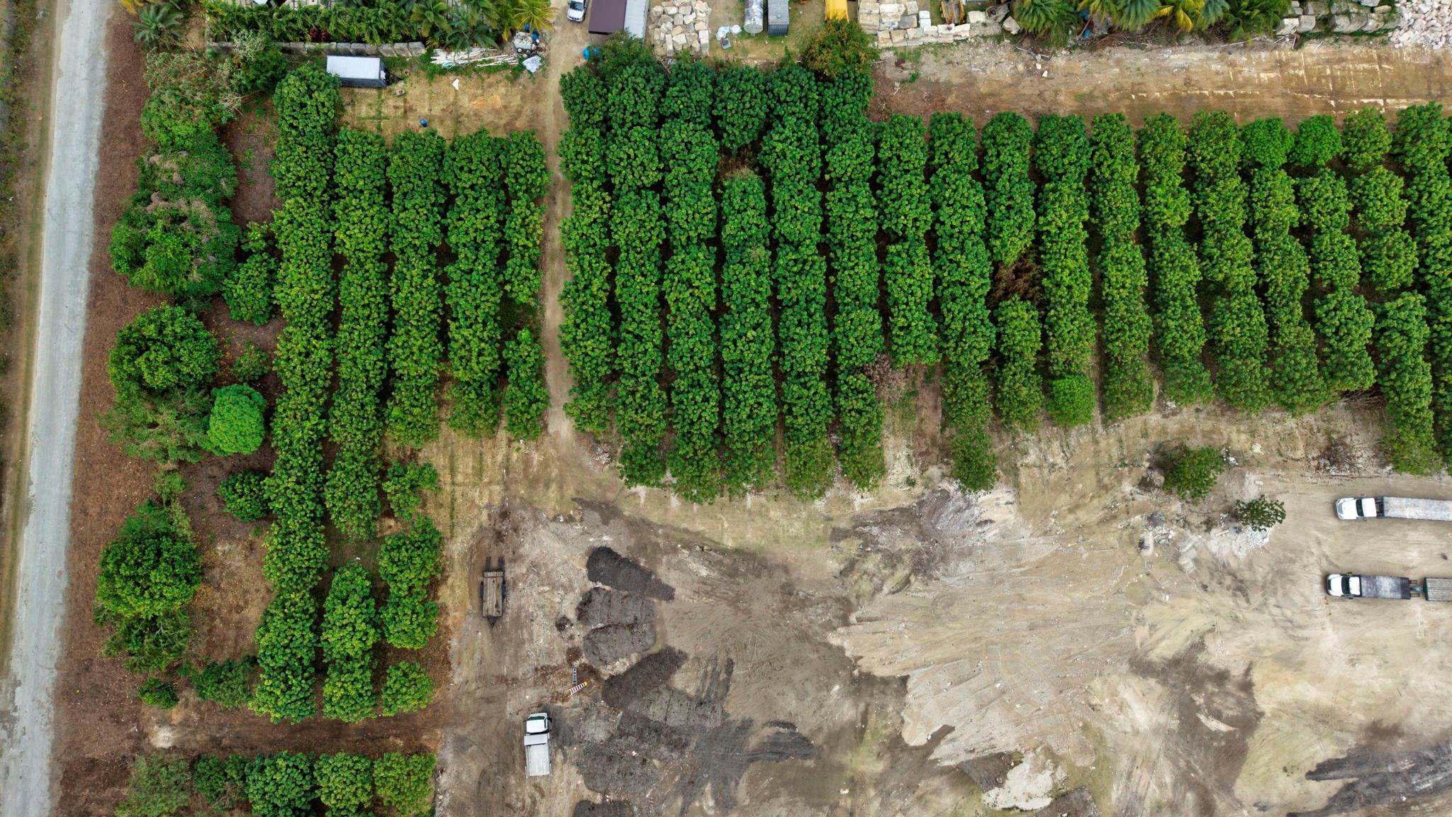 Southwest 212th Avenue Homestead, FL 33030 - Photo 10 of 27 Photo 10