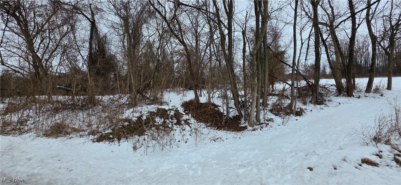 Cr32 Kilgore Road Bellaire, OH 43906 - Photo 1 of 4