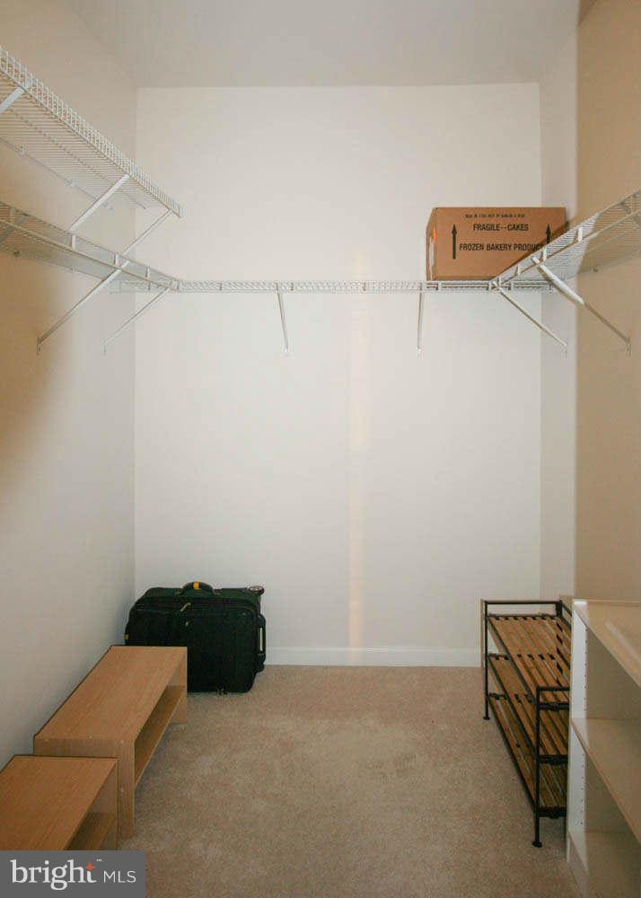 7305 Brookview Road, Unit 307 Elkridge, MD 21075 - Photo 21 of 29 Walk - in Closet in Master Bedroom