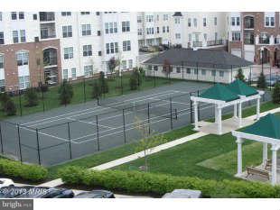 7305 Brookview Road, Unit 307 Elkridge, MD 21075 - Photo 29 of 29 Tennis Court