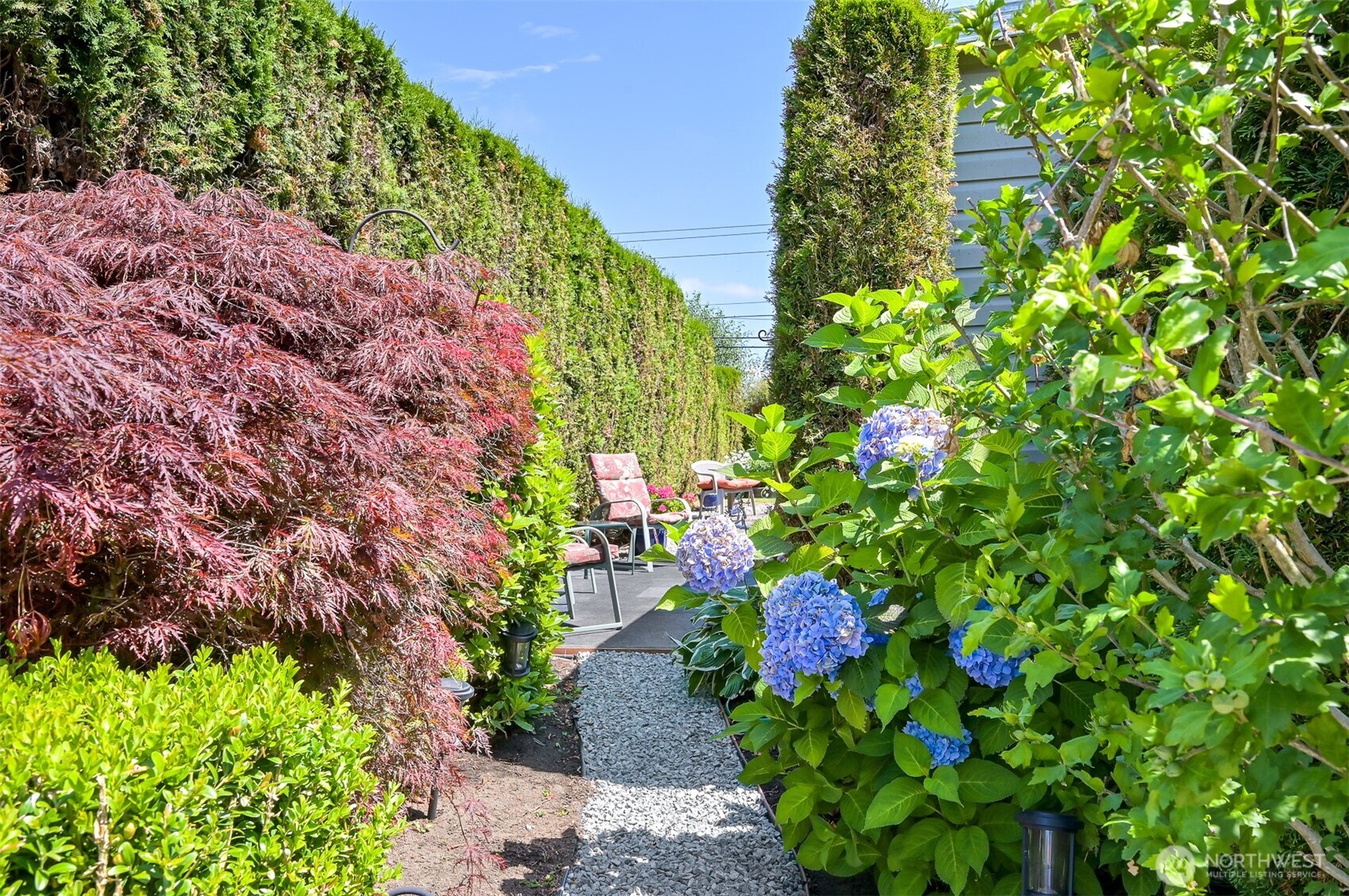 5001 Bay Road, Unit D134 Blaine, WA 98230 - Photo 13 of 32 a picture of flowers