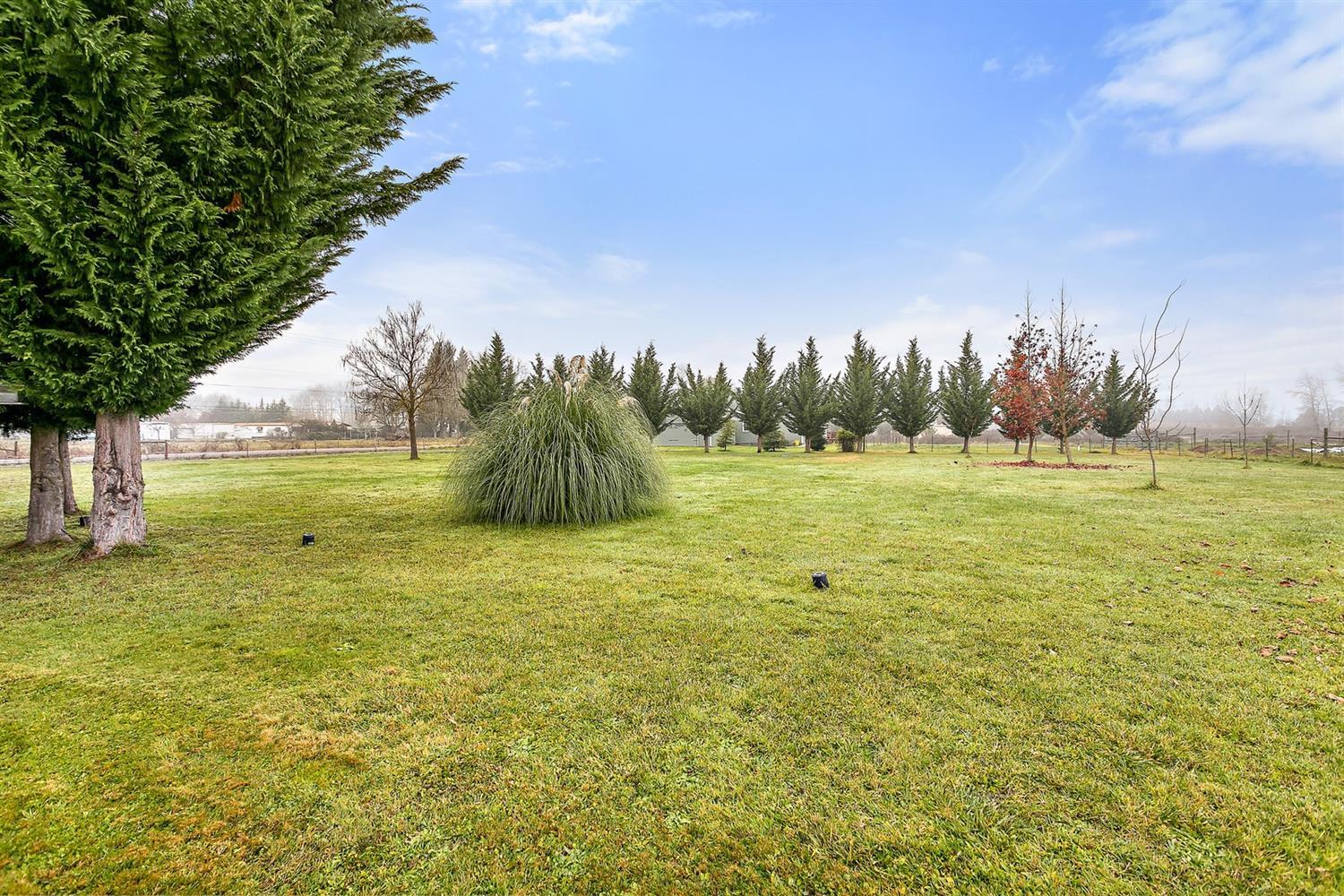 4930 Leonard Road Grants Pass, OR 97527 - Photo 4 of 33 a view of a field with an trees