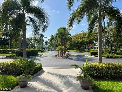 a view of a backyard with plants and palm trees
