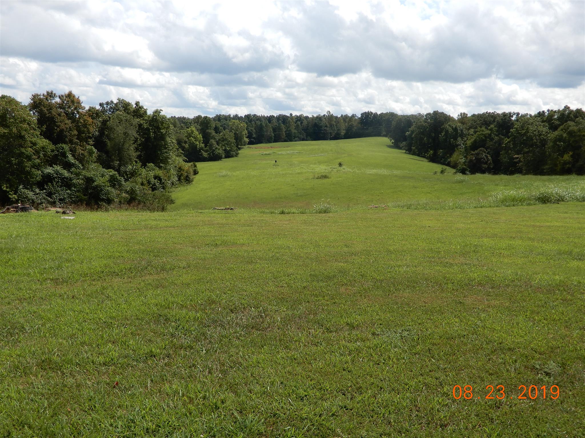 211 Talmo Road Cumberland Furnace, TN 37051 - Photo 23 of 26 32 beautiful slightly rolling acres