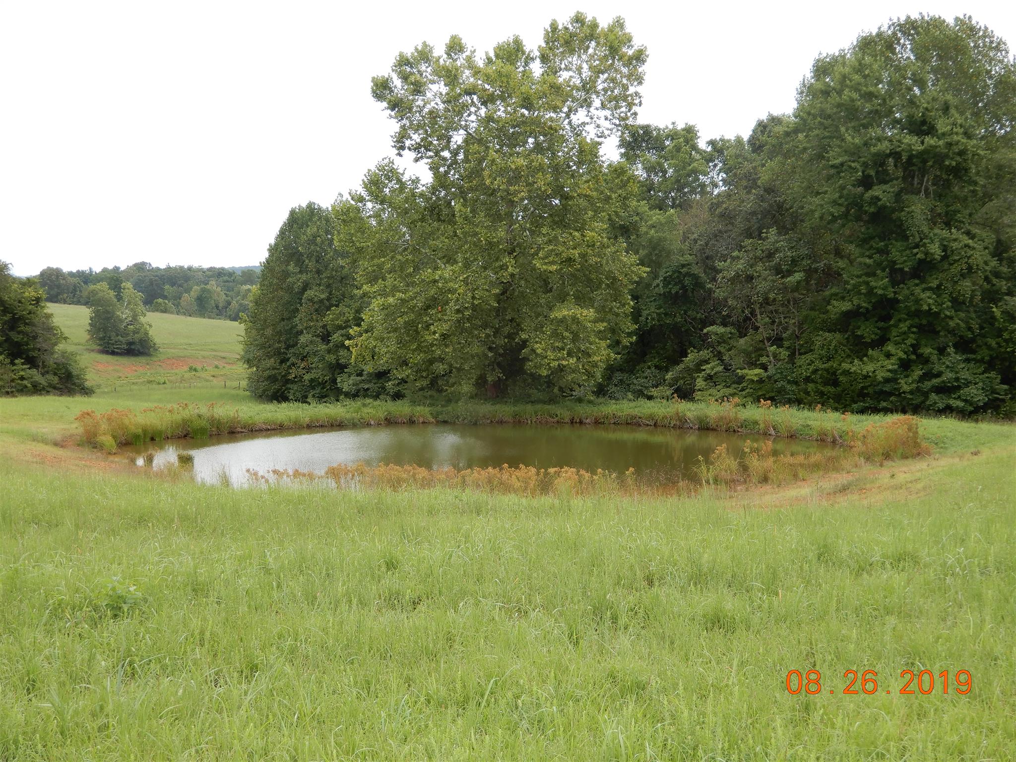211 Talmo Road Cumberland Furnace, TN 37051 - Photo 25 of 26 Pond