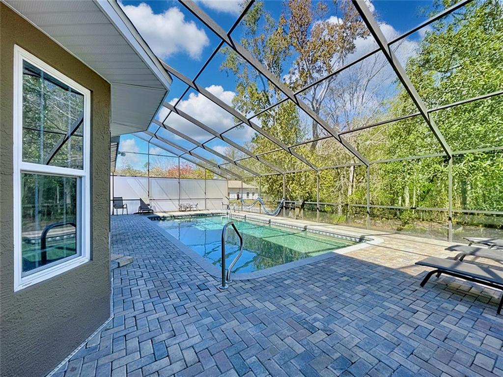 10655 Lakeview Drive New Port Richey, FL 34654 - Photo 63 of 83