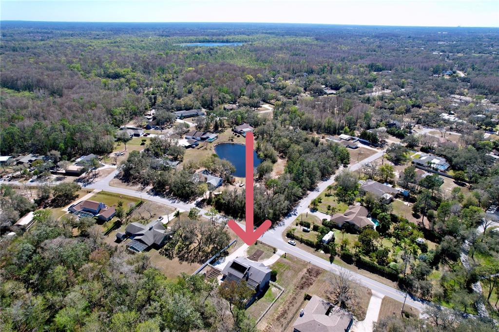 10655 Lakeview Drive New Port Richey, FL 34654 - Photo 76 of 83 an aerial view of multiple house