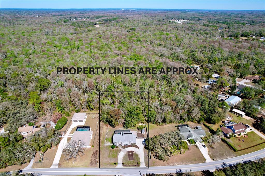 10655 Lakeview Drive New Port Richey, FL 34654 - Photo 81 of 83 an aerial view of a house with a garden