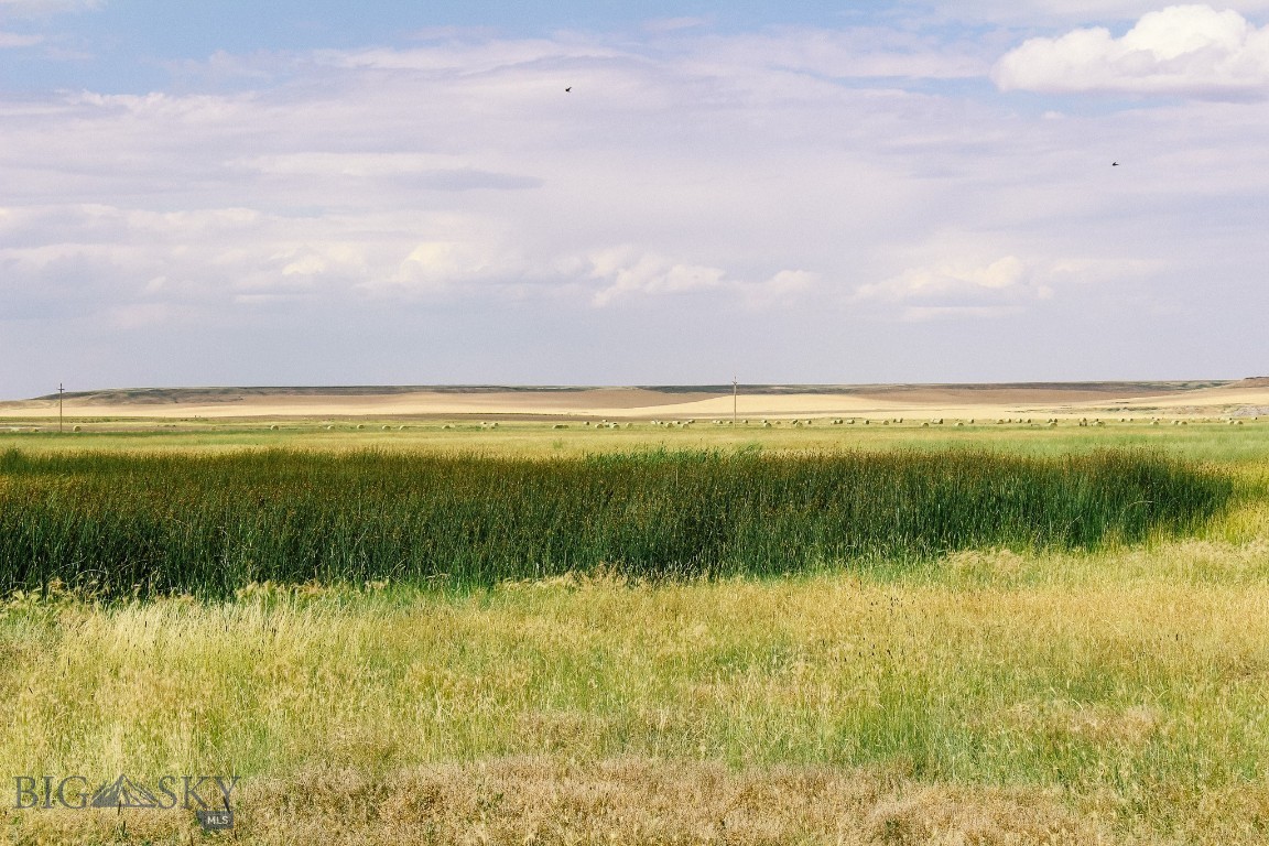 Muddy Muddy Creek Ranch Cascade, MT 59421 - Photo 17 of 42 Gallery Image 17