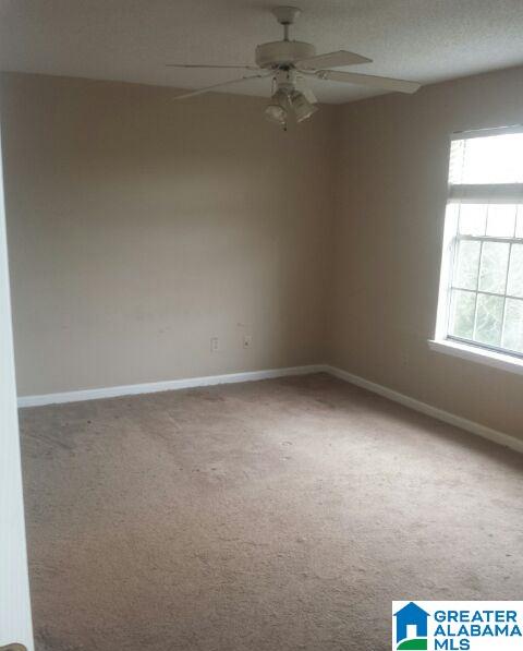 4705 Cook Springs Road Pell City, AL 35125 - Photo 11 of 20