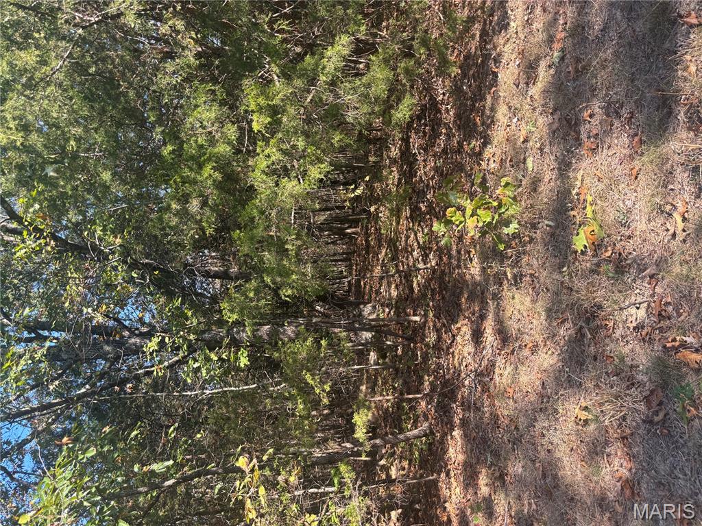 1 Mo-72 Fredericktown, MO 63645 - Photo 4 of 7