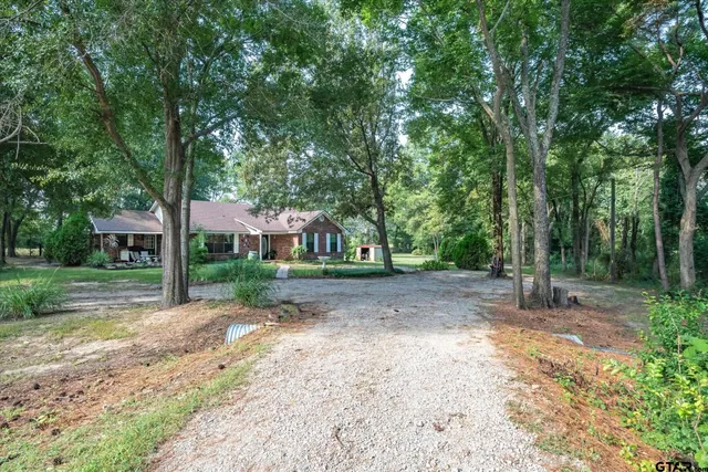 a view of a yard with plants and trees