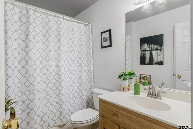 a bathroom with a sink a toilet and mirror