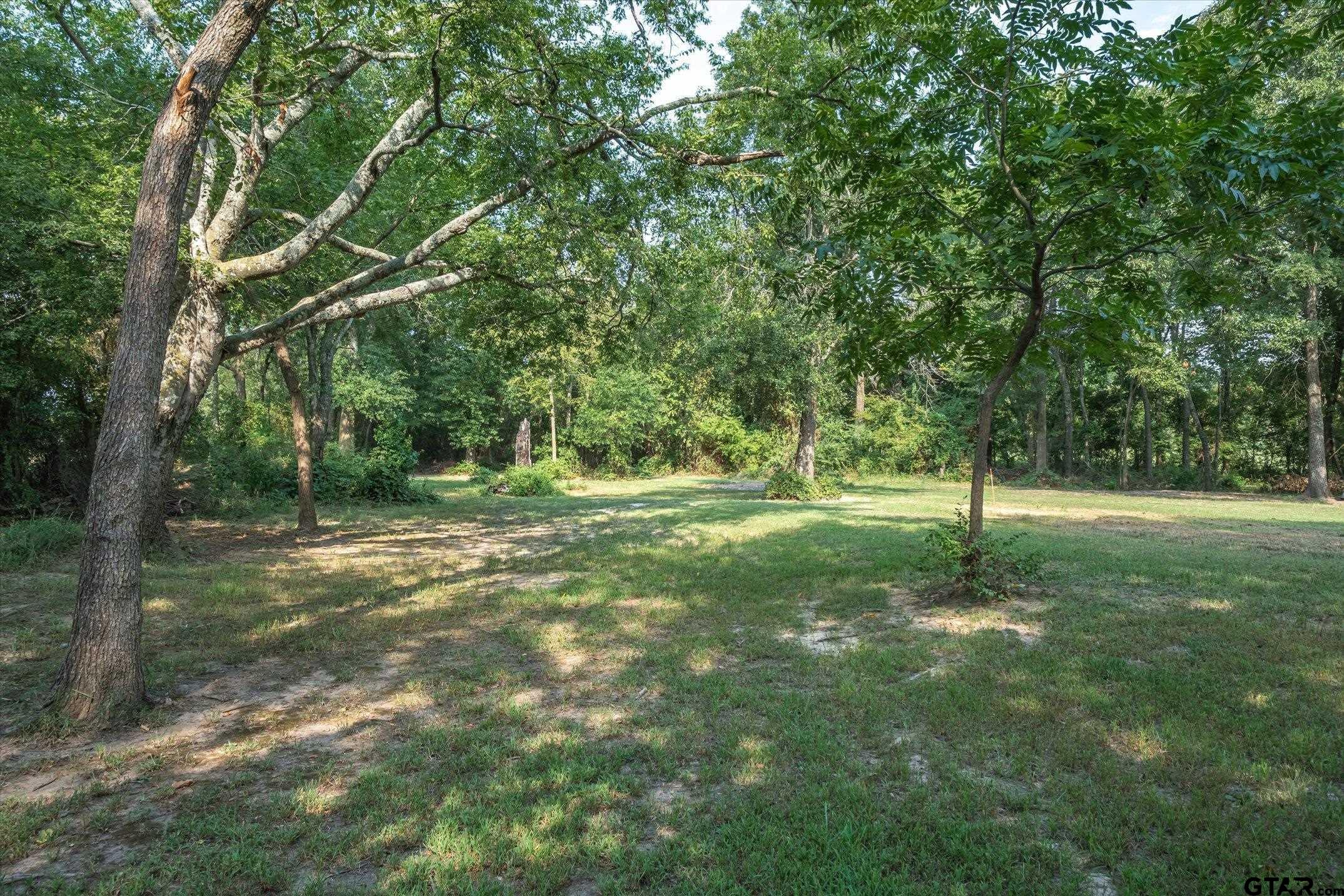 1200 Vz County Road Canton, TX 75103 - Photo 8 of 27 a view of a tree in a yard