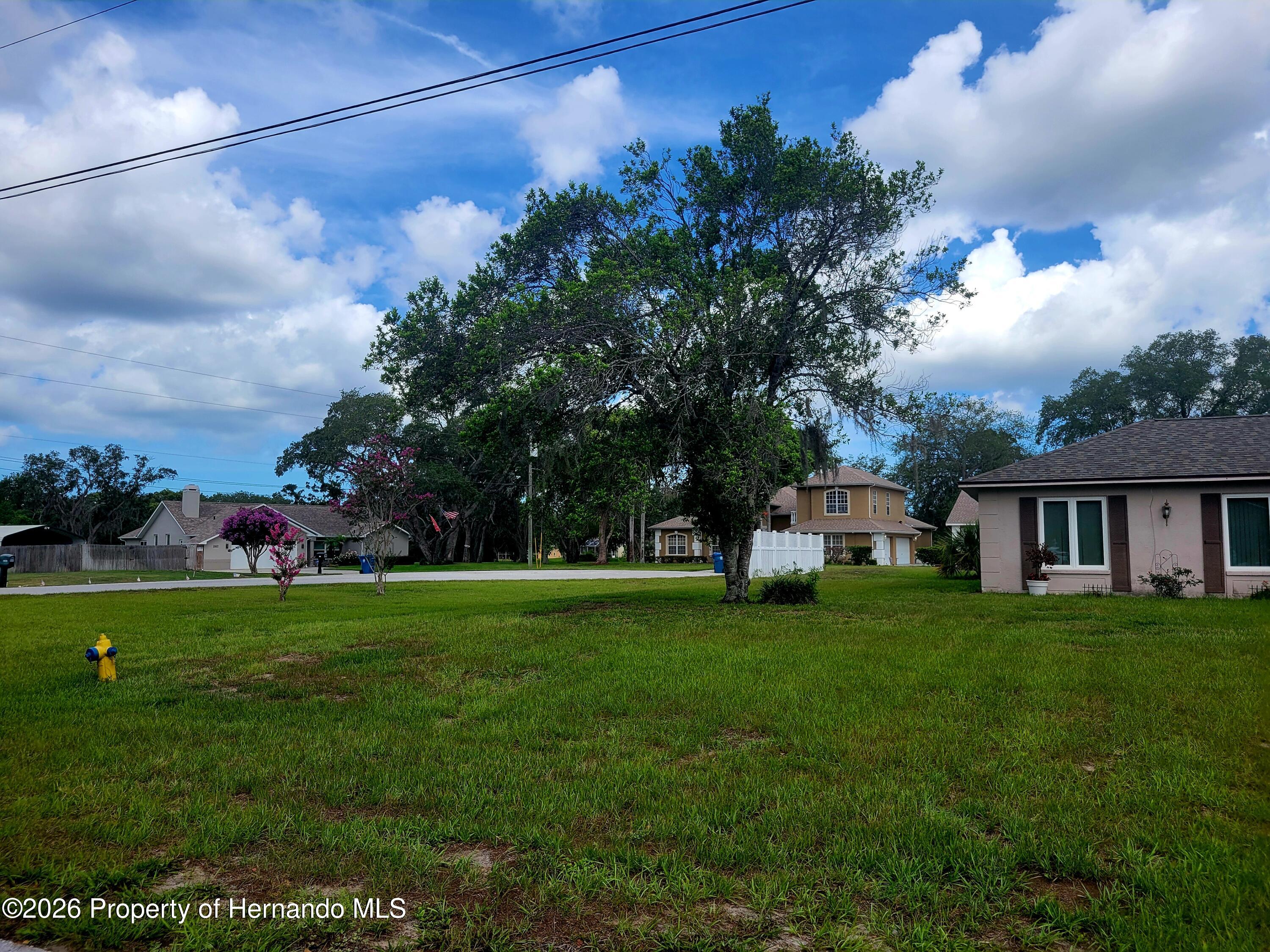8962 Jena Road Spring Hill, FL 34608 - Photo 39 of 40