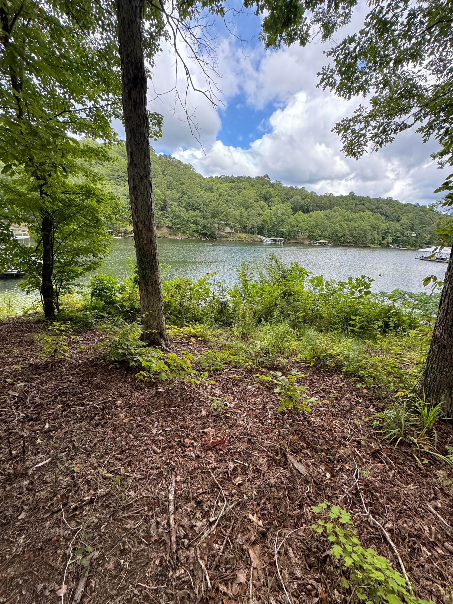 Lot 14 Ridge At Rock Creek Addison, AL 35540 - Photo 2 of 3 Gallery Image 2