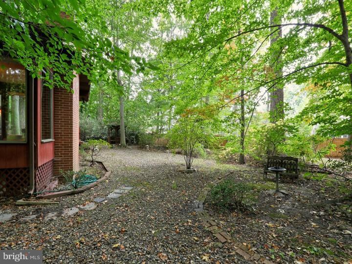 41 Robin Road Moorestown, NJ 08057 - Photo 22 of 23 a view of a forest filled with trees