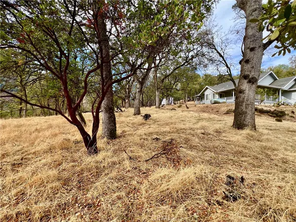 a view of snow on the road