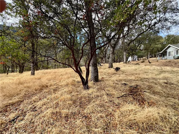 a street view covered with snow